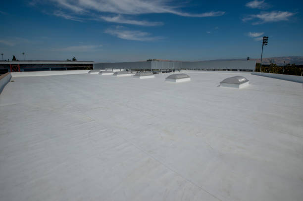 Best Solar Panel Roofing Installation  in Newton Falls, OH