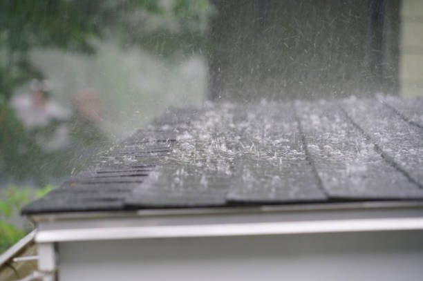 Best Chimney Flashing Repair  in Newton Falls, OH