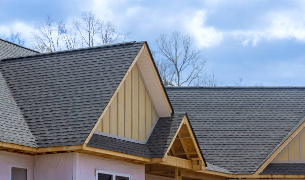Best Roof Coating and Sealing  in Newton Falls, OH